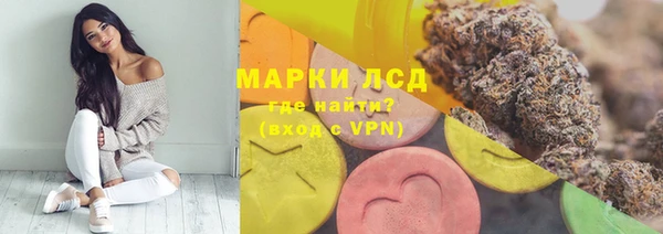 крисы Богородицк