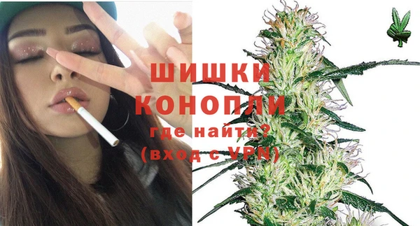 крисы Богородицк