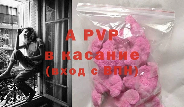 мяу мяу мука Белокуриха