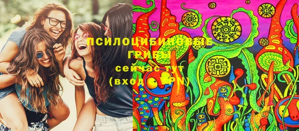 метадон Богданович