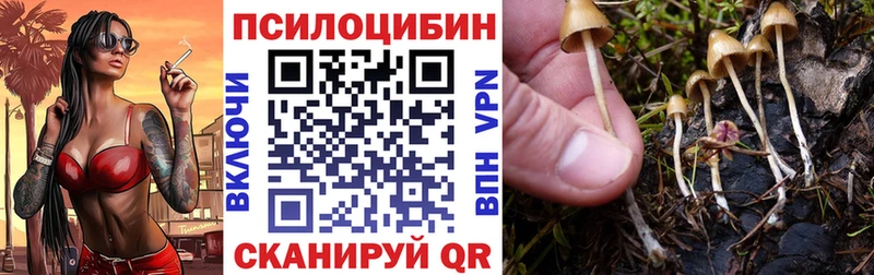 Галлюциногенные грибы мухоморы  Верхний Тагил 